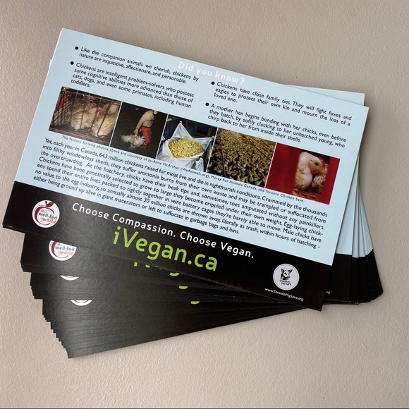 FREE ADD ON - Veg starter kits / recipes, flyers, brochures - Picture 8 of 8